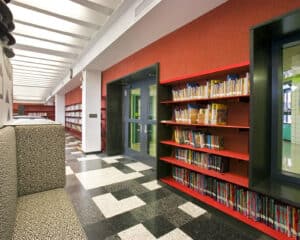 0314 Robin Hood N17 medium