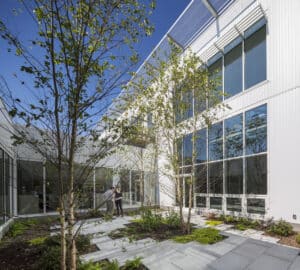 American Physical Society