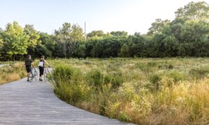 1019 Naval Cemetery Max Touhey N18 medium