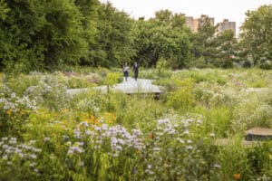 1019 Naval Cemetery Max Touhey N23 medium