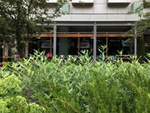 1115 Gansevoort Streetscapes 1115 N3 medium (9)