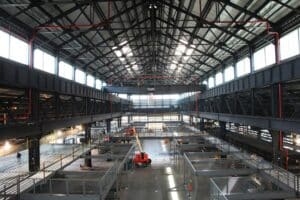 1206 Newlab N53 medium