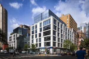 1605 Bloom on 45 Paul Warchol N23 medium