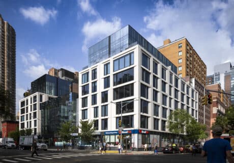 1605 Bloom on 45 Paul Warchol N23 medium