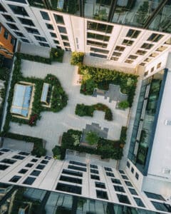 1605 Bloom on 45 Paul Warchol N38 medium