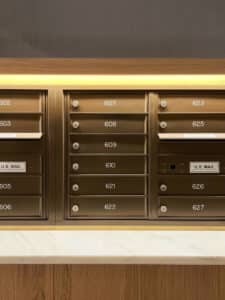 1605 Bloom on 45 Paul Warchol N57 medium