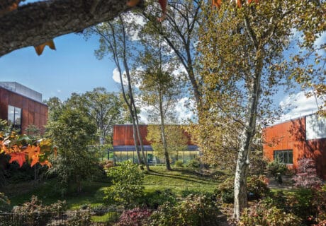 2025DS13 Northeast Bronx YMCA