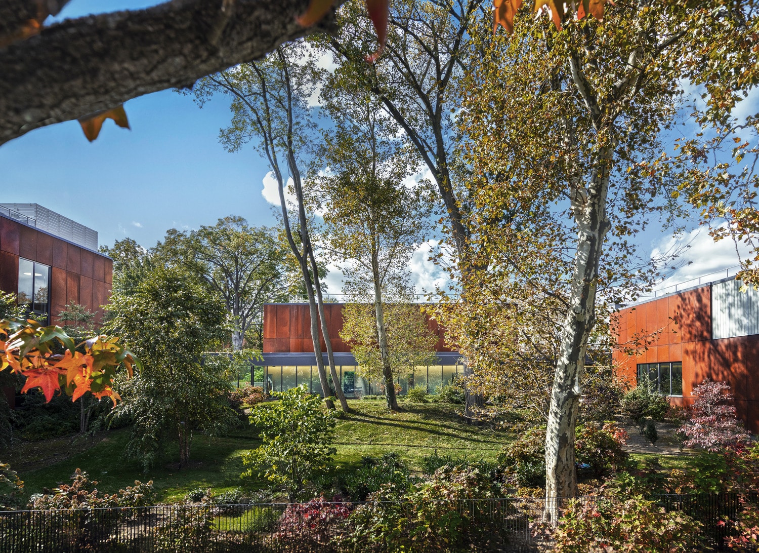 2025DS13 Northeast Bronx YMCA