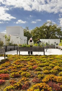 2025DS13 Northeast Bronx YMCA