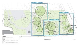 1711 Northeast Bronx YMCA N3