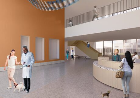 1919 Bronx Animal Care N56 medium