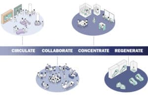 2304 SUNY Downstate HSEB N19 medium