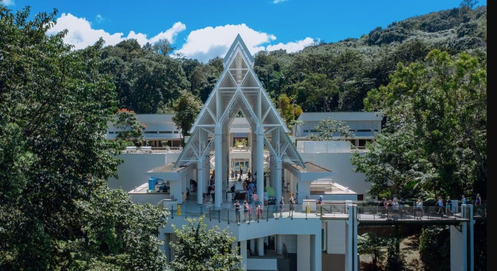 Puerto Ricos rainforest center reborn in pictures The Guardian Jose Juan Press April 2026