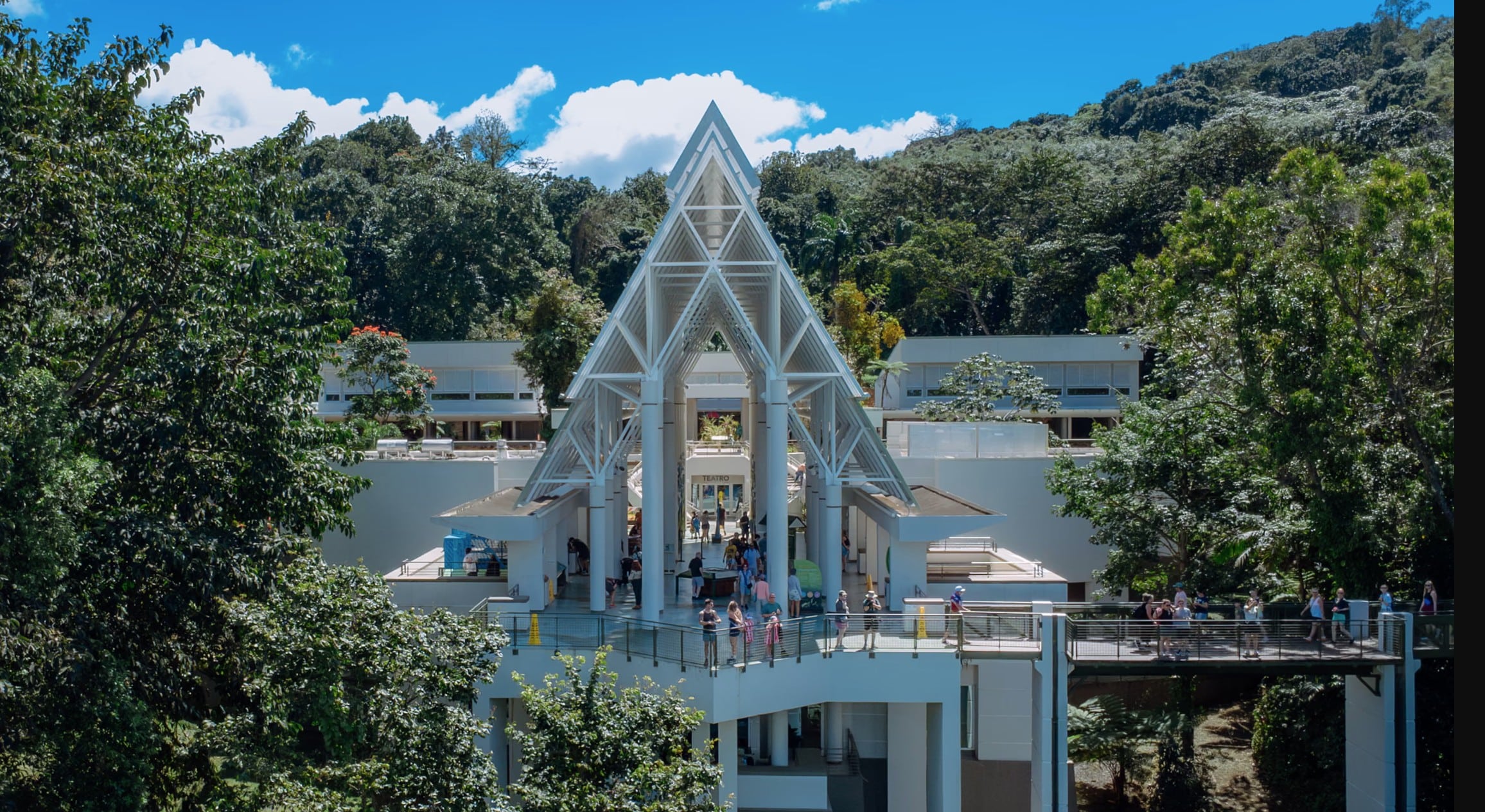 Puerto Ricos rainforest center reborn in pictures The Guardian Jose Juan Press April 2026