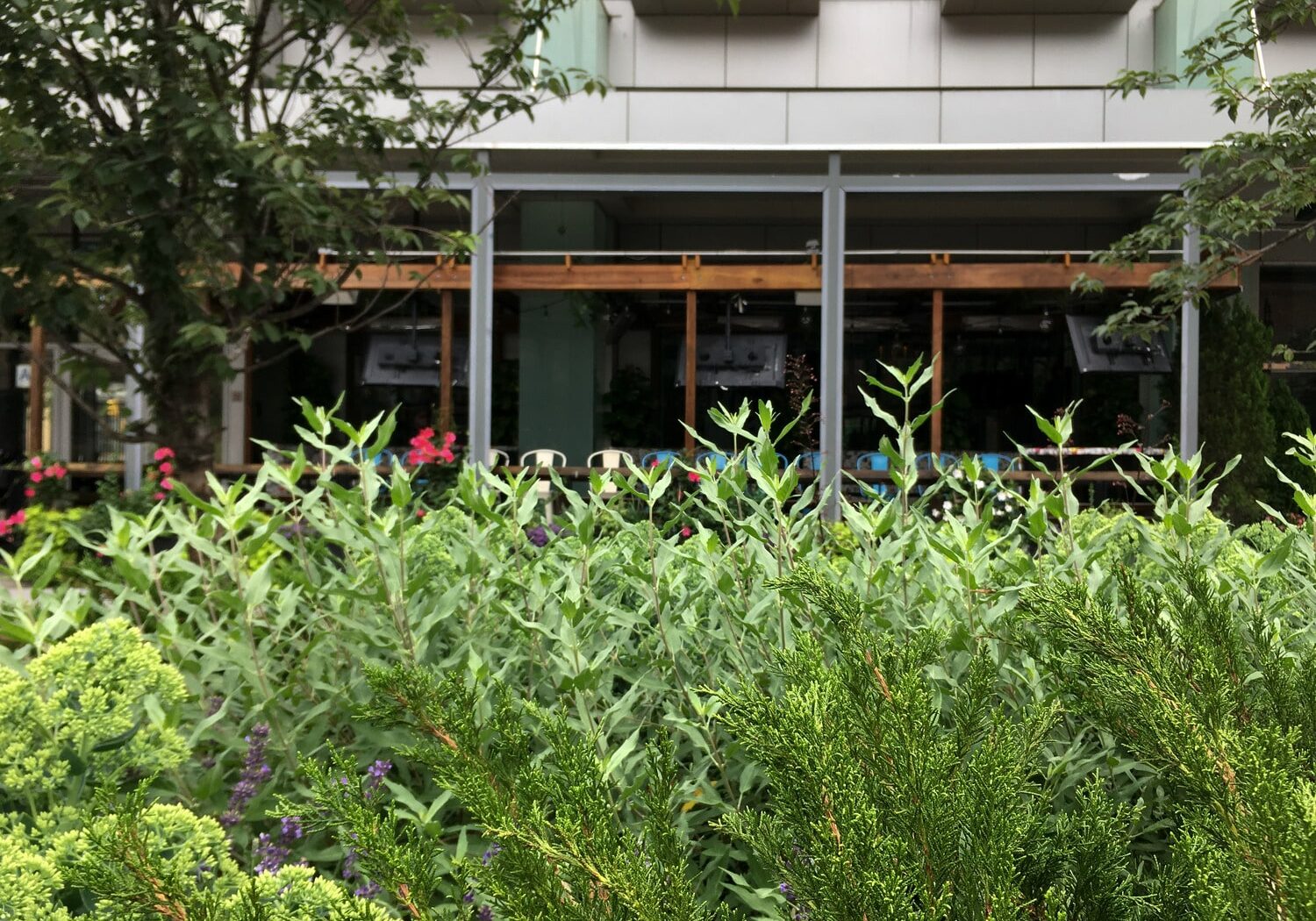 1115 Gansevoort Streetscapes 1115 N3 medium (9)