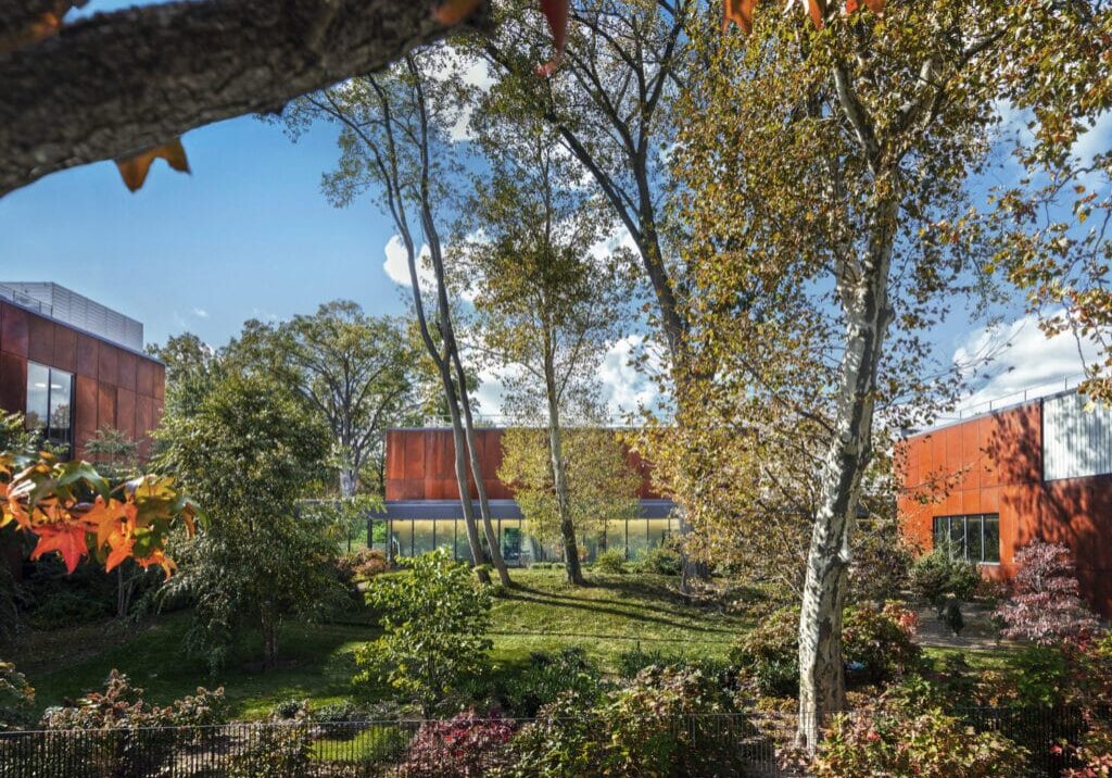 2025DS13 Northeast Bronx YMCA