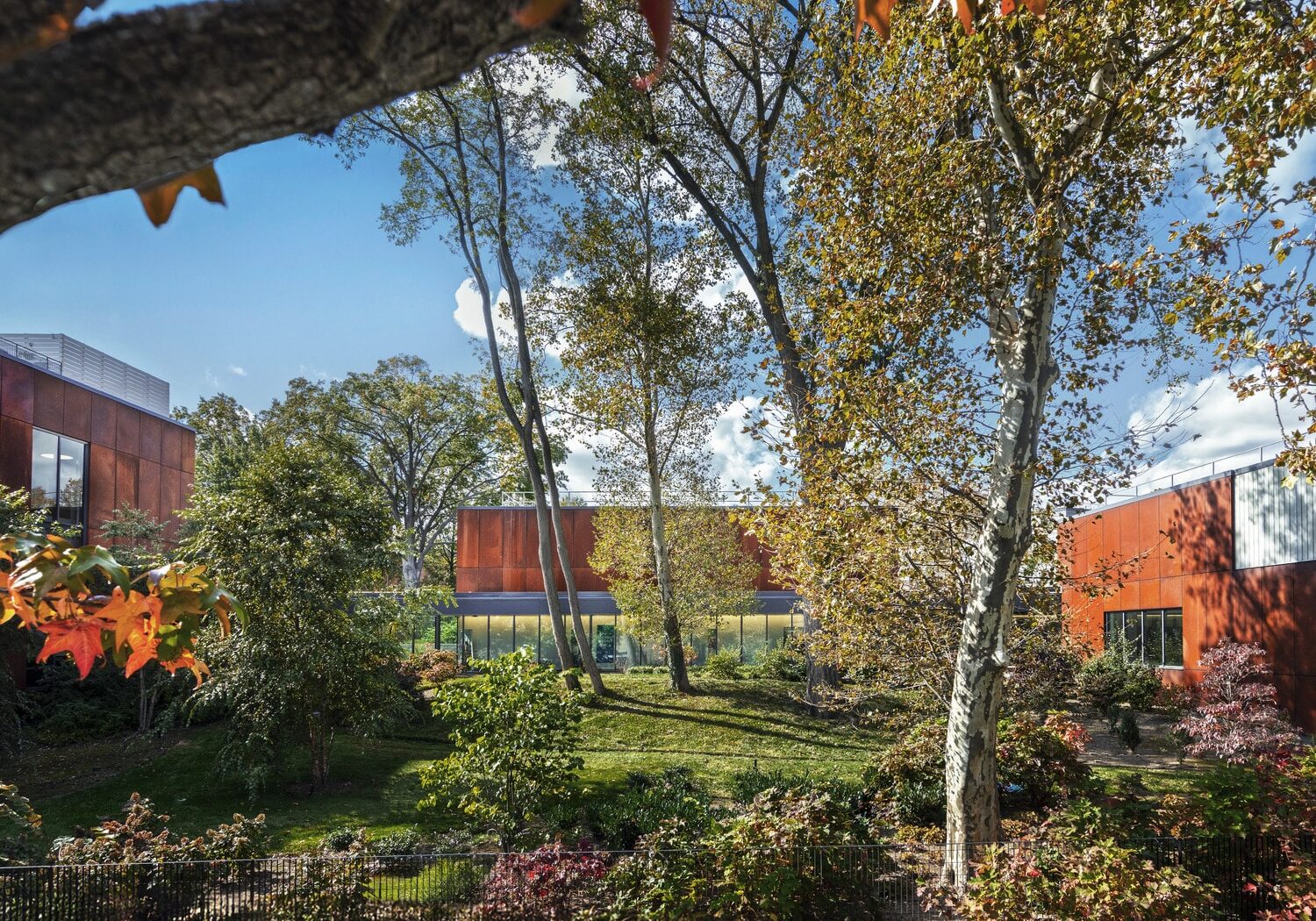 2025DS13 Northeast Bronx YMCA