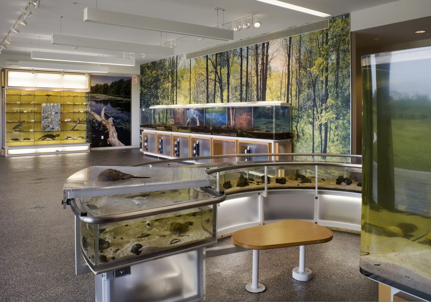 South Fork Natural Hostory Center